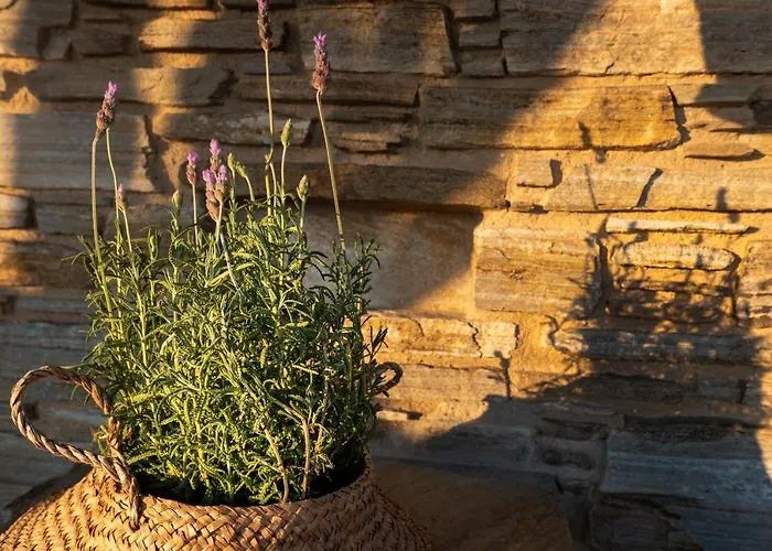 Aerino Seaside Tatil Evi Agios Romanos